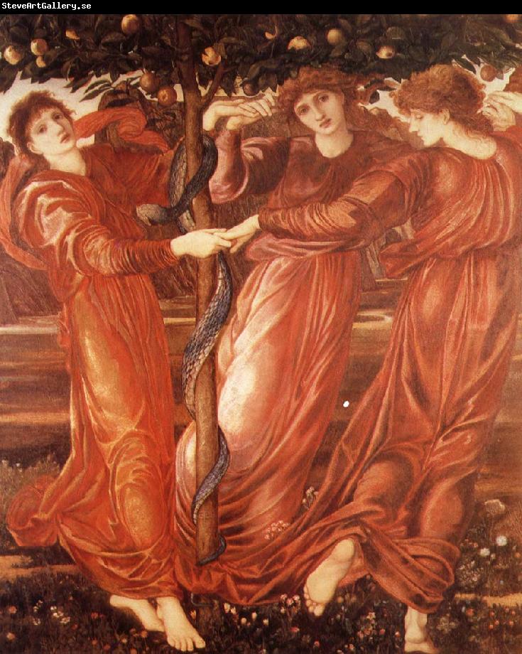 Sir Edward Coley Burne-Jones The Garden of the Hesperides